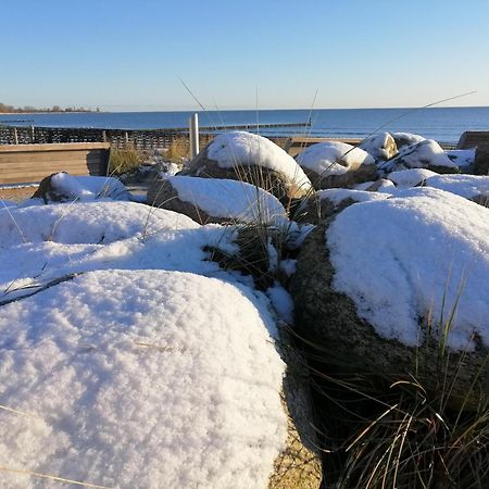 Ferienwohnung "Luv" Grube Ostsee Bagian luar foto