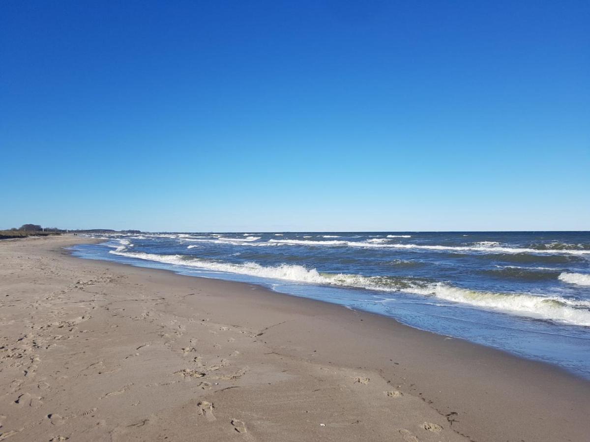 Ferienwohnung "Luv" Grube Ostsee Bagian luar foto