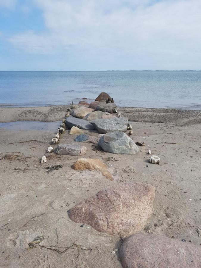 Ferienwohnung "Luv" Grube Ostsee Bagian luar foto