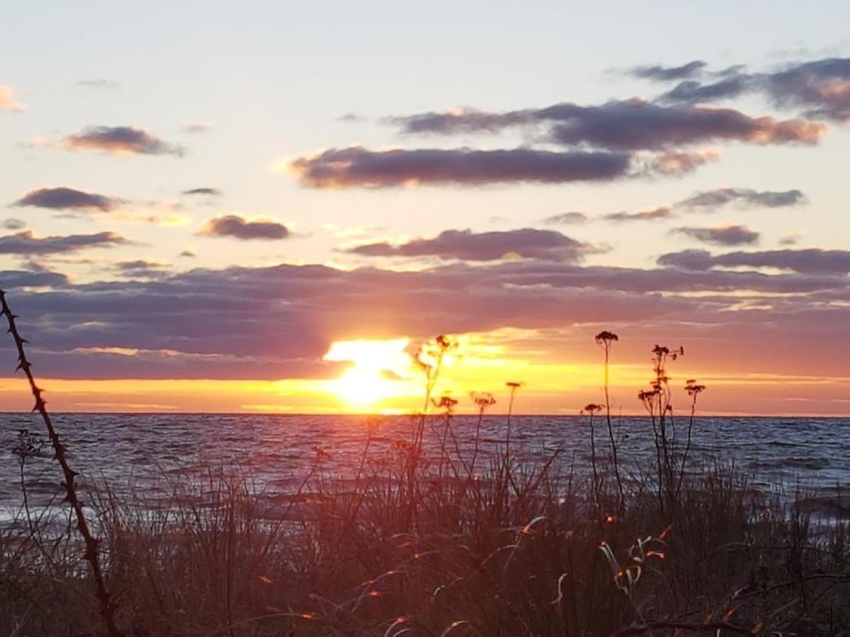 Ferienwohnung "Luv" Grube Ostsee Bagian luar foto