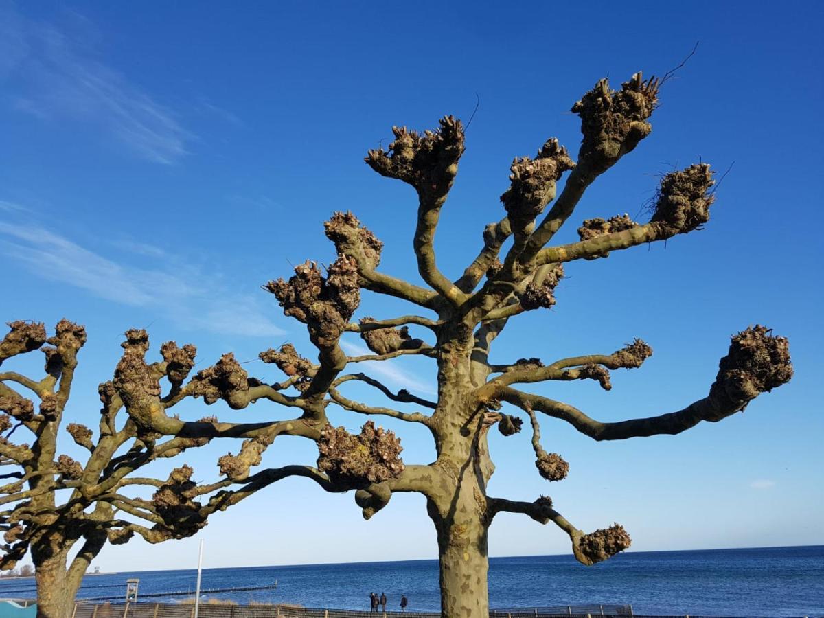 Ferienwohnung "Luv" Grube Ostsee Bagian luar foto