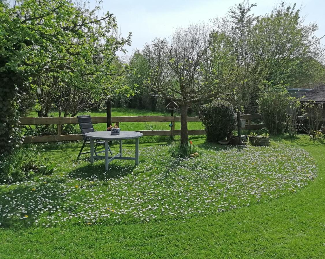Ferienwohnung "Luv" Grube Ostsee Bagian luar foto