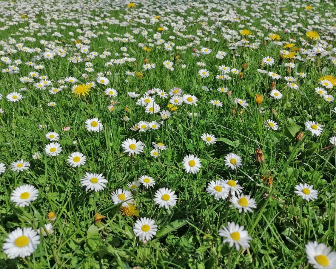 Ferienwohnung "Luv" Grube Ostsee Bagian luar foto