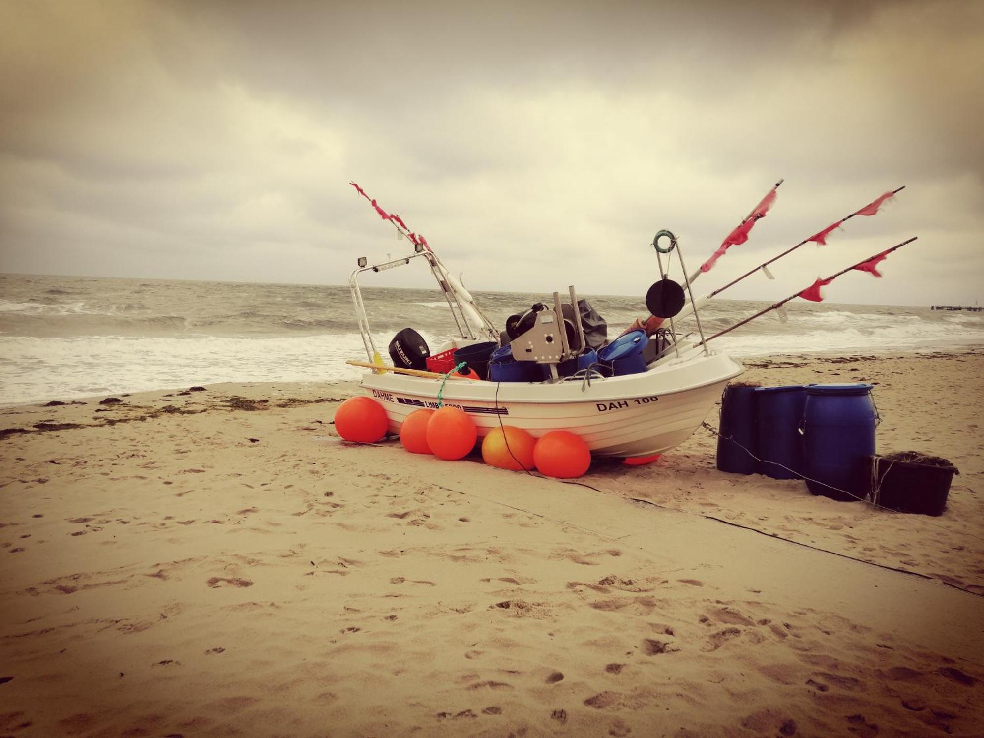 Ferienwohnung "Luv" Grube Ostsee Bagian luar foto